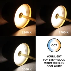 LED-Akku-Tischleuchte Roxi, goldfarben, Metall, IP54, Dimmer