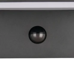 LED-Außenwandlampe Ravi, anthrazit Breite 18 cm Sensor, IP54