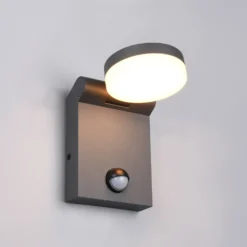 LED-Außenwandleuchte Adour, anthrazit, Sensor, kippbar, CCT