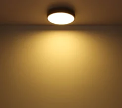 LED-Deckenlampe Doro, Ø 45 cm, grafit/holz dunkel, Holz, 830