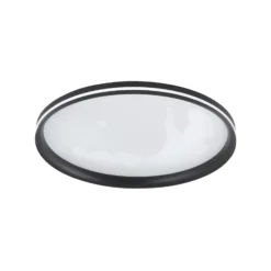 LED-Deckenlampe Isy, schwarz, Ø 55 cm, Metall, CCT, dimmbar