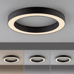 LED-Deckenlampe PURE Lines, Ø 35 cm, graphit, CCT, Remote