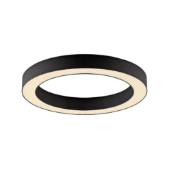 LED-Deckenlampe PURE Lines, Ø 35 cm, graphit, CCT, Remote