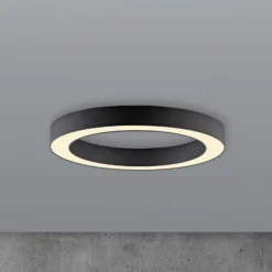 LED-Deckenlampe PURE Lines, Ø 35 cm, graphit, CCT, Remote