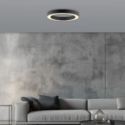 LED-Deckenlampe PURE Lines, Ø 35 cm, graphit, CCT, Remote