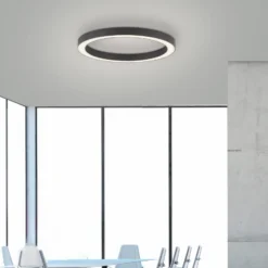 LED-Deckenlampe PURE Lines Round, graphite, Ø 50 cm, CCT