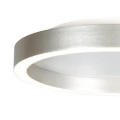 LED-Deckenlampe Ringlux, stahlgrau, Ø 40 cm, Metall, 2.700 K