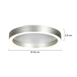 LED-Deckenlampe Ringlux, stahlgrau, Ø 40 cm, Metall, 2.700 K