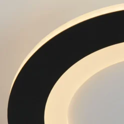 LED-Deckenlampe Ringo, Ø 25 cm, schwarz/weiß Eisen/Acryl CCT