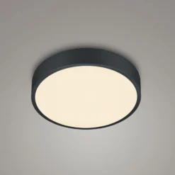 LED-Deckenlampe Waco, CCT, Ø 31 cm, schwarz matt