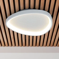 LED-Deckenleuchte Argesa Ø 60,5 cm, weiß, CCT, Fernbedienung