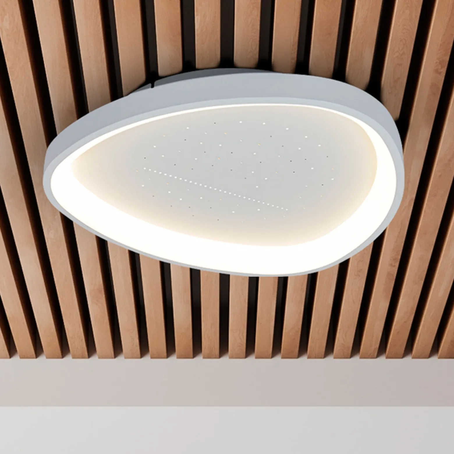 LED-Deckenleuchte Argesa Ø 60,5 cm, weiß, CCT, Fernbedienung