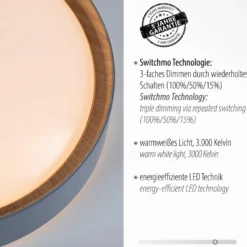 LED-Deckenleuchte Emilia, dreistufig dimmbar, grau