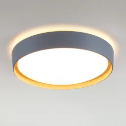 LED-Deckenleuchte Emilia, dreistufig dimmbar, grau