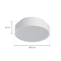 LED-Deckenleuchte Hatton IP65 25 cm