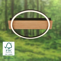 LED-Deckenleuchte Kada, Ø 30 cm, Holz, Metall, schwarz