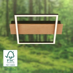 LED-Deckenleuchte Kada, 34x26 cm, Holz, Metall, schwarz