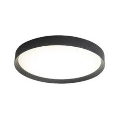 LED-Deckenleuchte Minsk, schwarz, Ø 60cm, Casambi, 42 W, CCT