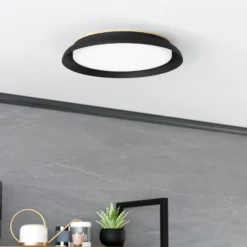 LED-Deckenleuchte Penjamo Ø 46,5cm, schwarz