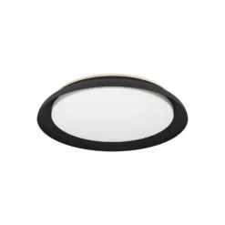 LED-Deckenleuchte Penjamo Ø 46,5cm, schwarz