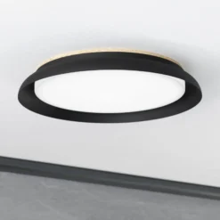 LED-Deckenleuchte Penjamo Ø 46,5cm, schwarz
