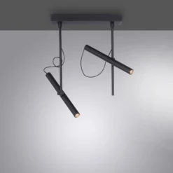 LED-Deckenleuchte PURE Tutua, 2-flammig, schwarz