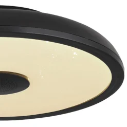 LED-Deckenleuchte Raffy Lautsprecher RGBW schwarz
