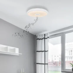 LED-Deckenleuchte Raffy Lautsprecher RGBW weiß