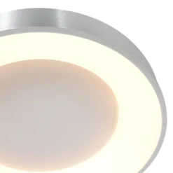 LED-Deckenleuchte Ringlede, 2.700 K, Ø 48 cm, silber, Metall