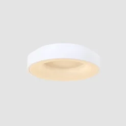 LED-Deckenleuchte Ringlede, 2.700 K, Ø 38 cm, weiß, Metall