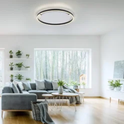 LED-Deckenleuchte Ritus, Ø 58,5cm, anthrazit