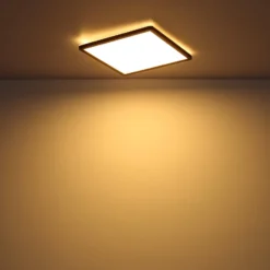 LED-Deckenleuchte Sapana, eckig, dimmbar, schwarz