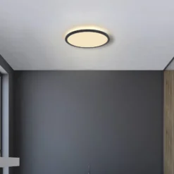 LED-Deckenleuchte Sapana, schwarz, rund, dimmbar