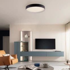 LED-Deckenleuchte TAVOLI, schwarz, Ø 49 cm, Metall, CCT, dim