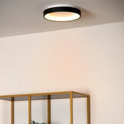 LED-Deckenleuchte Vidal, schwarz, Ø 28 cm, dimmbar, Acryl