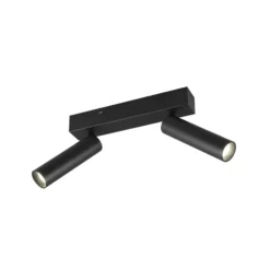LED-Deckenspot Ambala, 2-fl., schwarz, Metall, CCT, dimmbar