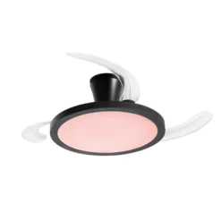 LED-Deckenventilator Condor, schwarz Ø 106 cm CCT RGB, leise