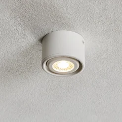 LED-Downlight Anzio, schwenkbar, weiß