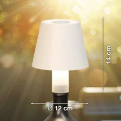LED-Flaschenlampe Fiocco, sandweiß, RGBW, IP54, dimmbar