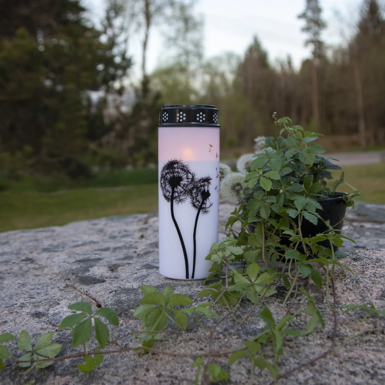 LED-Grablicht Dandelion, 21 cm weiß/schwarz Plastik Batterie