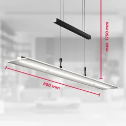 LED-Hängelampe Tick schwarz, Glas, dimmbar, höhenverstellbar