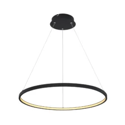 LED-Hängeleuchte Ralph, 1-flammig, schwarz, Ø 60cm
