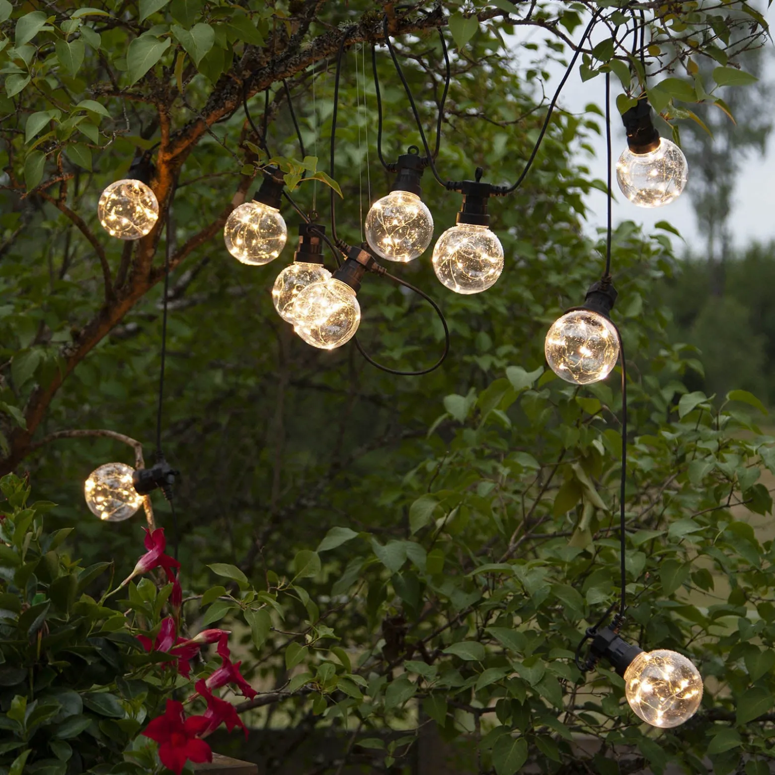 LED-Lichterkette Big Circus, Dew Drops, 10-flg.