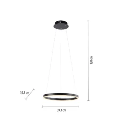 LED-Pendelleuchte Ritus, Ø 39,3cm, anthrazit