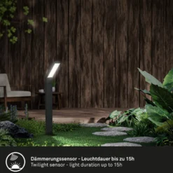 LED-Solar-Erdspießleuchte 3796015, schwarz, Kunststoff, CCT