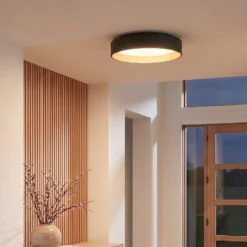 Lindby LED-Deckenlampe Gracjan, schwarz, Metall, CCT, Ø45cm