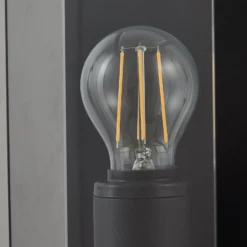 Lucande Außenwandleuchte Annalea, rauchgrau, IP54, Sensor