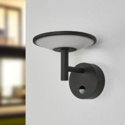 Lucande LED-Außenwandleuchte Fenia, Sensor, IP54, anthrazit