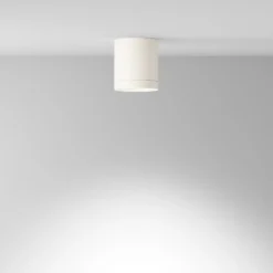 Maytoni Downlight Hoop, weiß, Höhe 10 cm, Ø 8,5 cm, Alu GX53