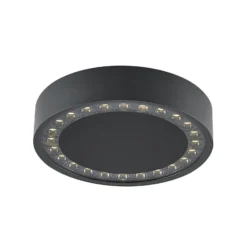 Molto Luce LED-Außen-Deckenlampe Nona, Ø 22,8 cm, anthrazit